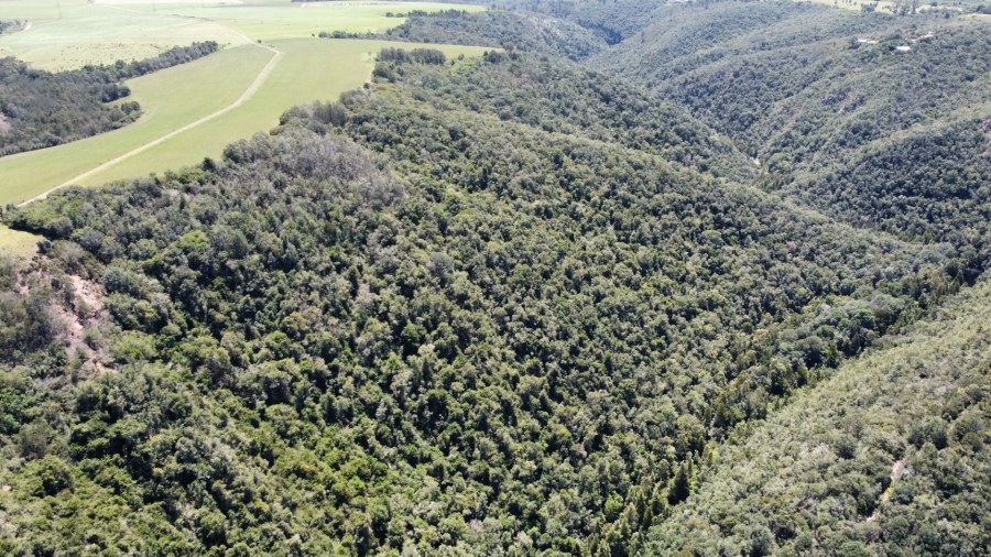  Bedroom Property for Sale in Knysna Rural Western Cape